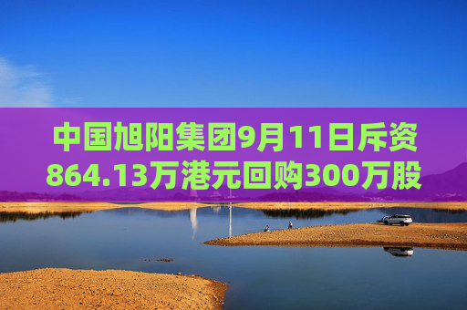 中国旭阳集团9月11日斥资864.13万港元回购300万股