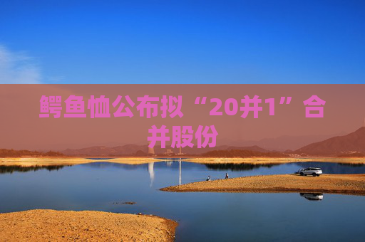 鳄鱼恤公布拟“20并1”合并股份  第1张