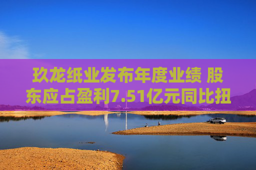 玖龙纸业发布年度业绩 股东应占盈利7.51亿元同比扭亏为盈  第1张