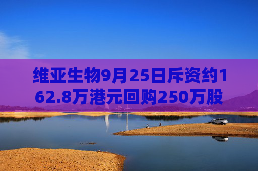 维亚生物9月25日斥资约162.8万港元回购250万股  第1张