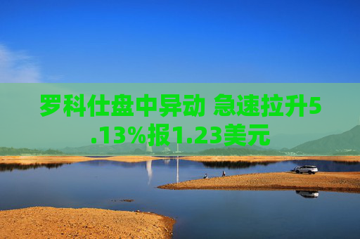 罗科仕盘中异动 急速拉升5.13%报1.23美元  第1张