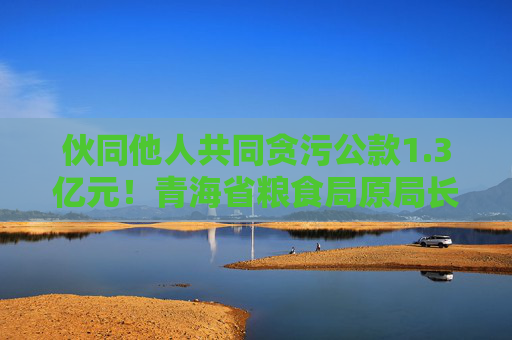 伙同他人共同贪污公款1.3亿元！青海省粮食局原局长顾艳华一审被判无期徒刑  第1张