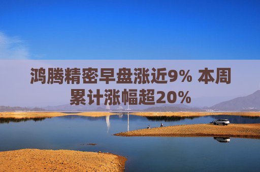 鸿腾精密早盘涨近9% 本周累计涨幅超20%  第1张