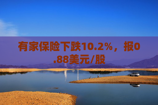 有家保险下跌10.2%，报0.88美元/股  第1张