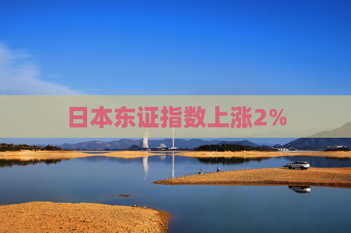 日本东证指数上涨2%  第1张