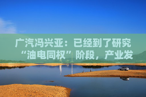 广汽冯兴亚：已经到了研究“油电同权”阶段，产业发展需兼顾各方  第1张