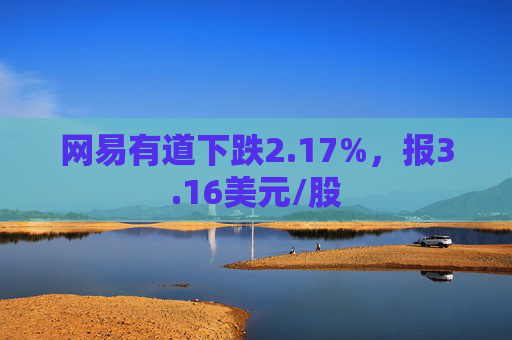 网易有道下跌2.17%，报3.16美元/股