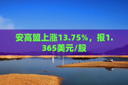 安高盟上涨13.75%，报1.365美元/股