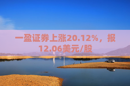 一盈证券上涨20.12%，报12.06美元/股