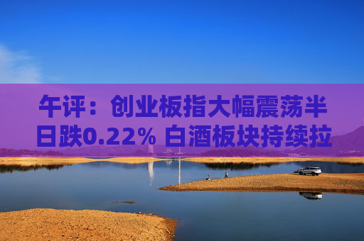 午评：创业板指大幅震荡半日跌0.22% 白酒板块持续拉升  第1张