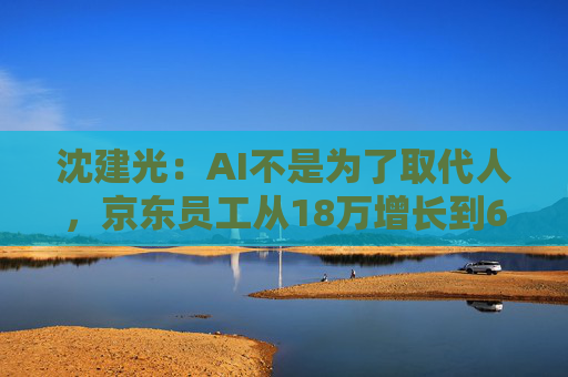 沈建光：AI不是为了取代人，京东员工从18万增长到62万人  第1张