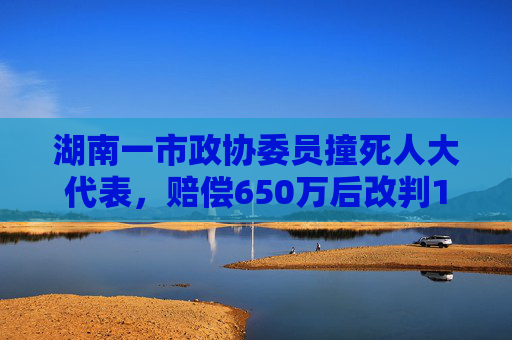 湖南一市政协委员撞死人大代表，赔偿650万后改判15年，二审维持原判  第1张