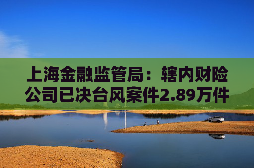 上海金融监管局：辖内财险公司已决台风案件2.89万件 已决赔款1.15亿元