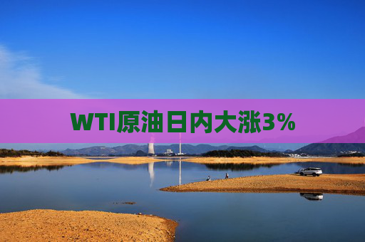 WTI原油日内大涨3%  第1张