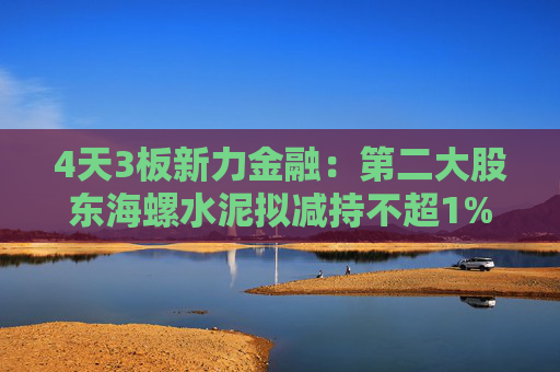 4天3板新力金融：第二大股东海螺水泥拟减持不超1%公司股份  第1张