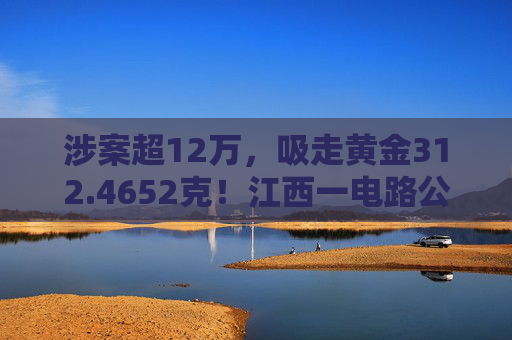 涉案超12万，吸走黄金312.4652克！江西一电路公司员工获刑