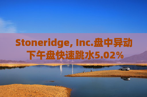 Stoneridge, Inc.盘中异动 下午盘快速跳水5.02%