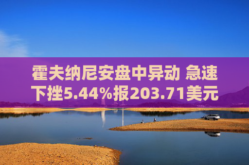 霍夫纳尼安盘中异动 急速下挫5.44%报203.71美元  第1张