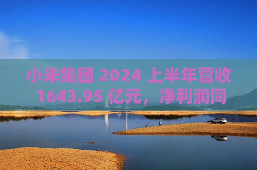 小米集团 2024 上半年营收 1643.95 亿元，净利润同比增长 17.86%