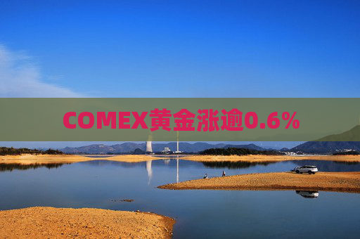 COMEX黄金涨逾0.6%