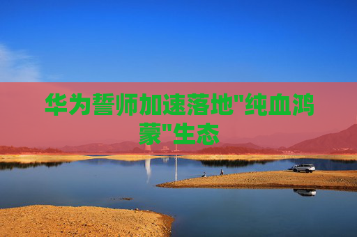 华为誓师加速落地