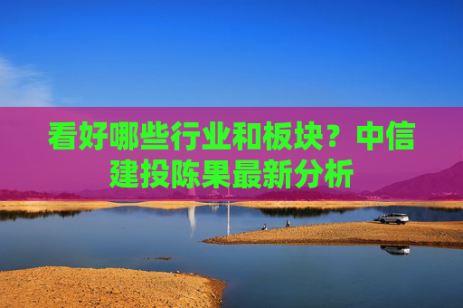 看好哪些行业和板块？中信建投陈果最新分析