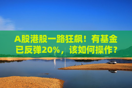 A股港股一路狂飙！有基金已反弹20%，该如何操作？  第1张