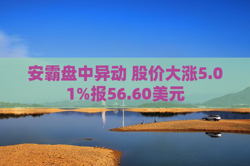 安霸盘中异动 股价大涨5.01%报56.60美元  第1张