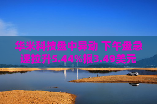 华米科技盘中异动 下午盘急速拉升5.44%报3.49美元