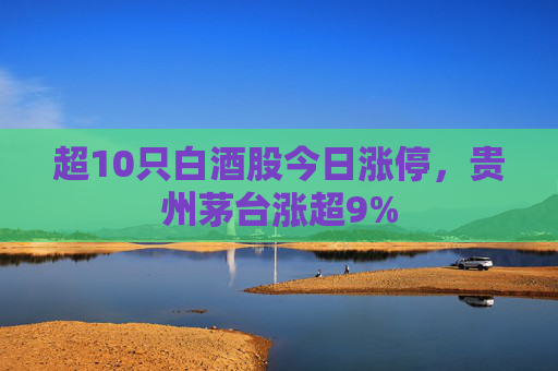 超10只白酒股今日涨停，贵州茅台涨超9%  第1张