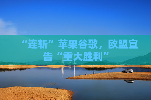 “连斩”苹果谷歌，欧盟宣告“重大胜利”