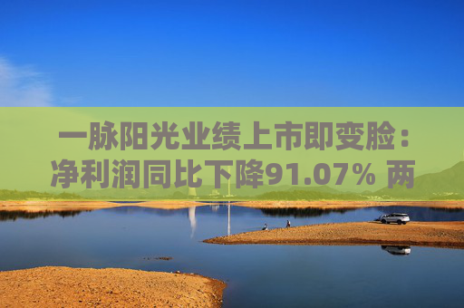 一脉阳光业绩上市即变脸：净利润同比下降91.07% 两主营业务均显增长疲态