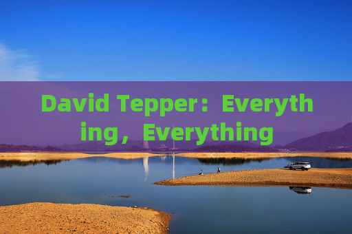 David Tepper：Everything，Everything