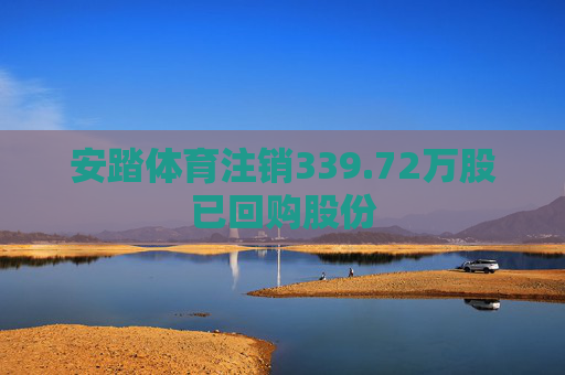 安踏体育注销339.72万股已回购股份  第1张