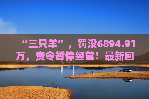 “三只羊”，罚没6894.91万，责令暂停经营！最新回应  第1张