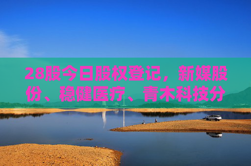 28股今日股权登记，新媒股份、稳健医疗、青木科技分红力度最大  第1张