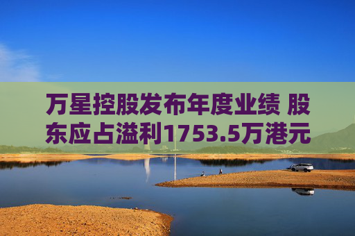 万星控股发布年度业绩 股东应占溢利1753.5万港元同比扭亏为盈