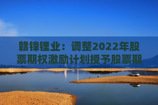 赣锋锂业：调整2022年股票期权激励计划授予股票期权行权数量  第1张