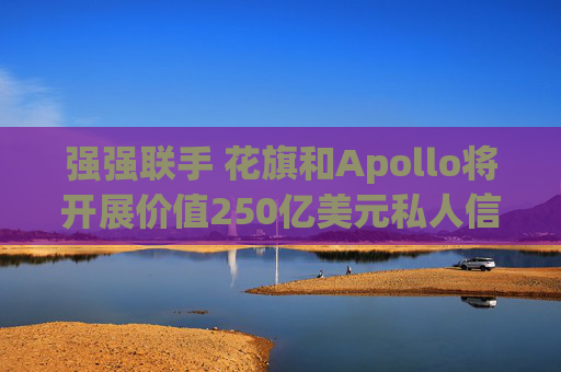 强强联手 花旗和Apollo将开展价值250亿美元私人信贷交易  第1张