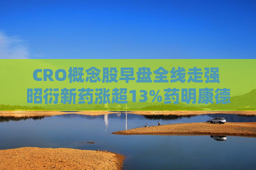 CRO概念股早盘全线走强 昭衍新药涨超13%药明康德涨超12%  第1张