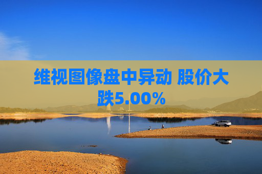 维视图像盘中异动 股价大跌5.00%