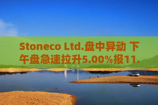 Stoneco Ltd.盘中异动 下午盘急速拉升5.00%报11.67美元