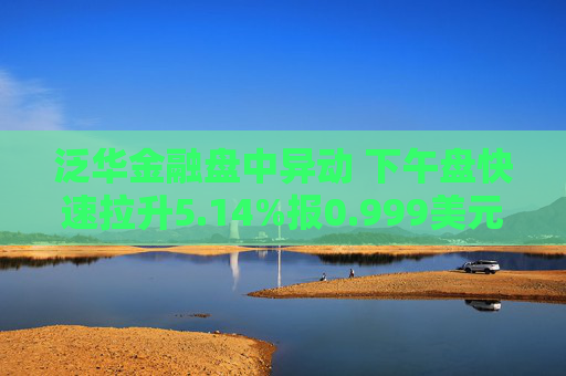 泛华金融盘中异动 下午盘快速拉升5.14%报0.999美元  第1张