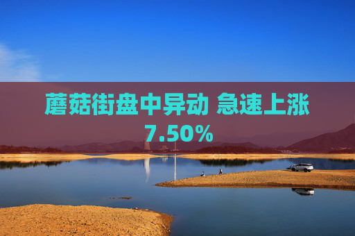 蘑菇街盘中异动 急速上涨7.50%  第1张