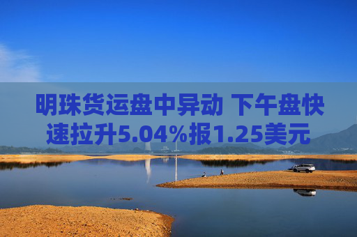 明珠货运盘中异动 下午盘快速拉升5.04%报1.25美元  第1张