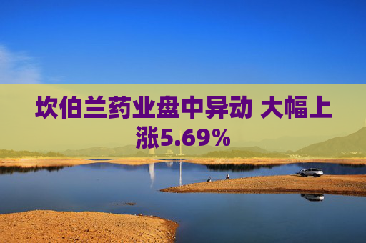 坎伯兰药业盘中异动 大幅上涨5.69%  第1张