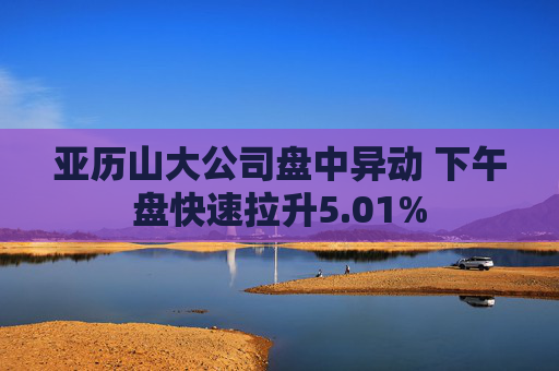 亚历山大公司盘中异动 下午盘快速拉升5.01%