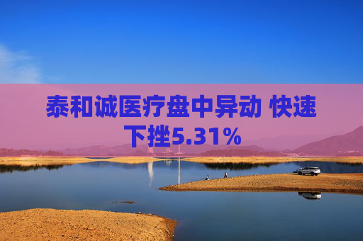 泰和诚医疗盘中异动 快速下挫5.31%