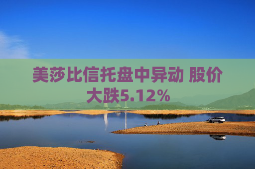 美莎比信托盘中异动 股价大跌5.12%  第1张