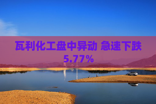 瓦利化工盘中异动 急速下跌5.77%